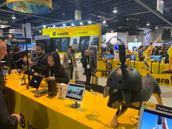 cmwqukevshicauthgjt6ew